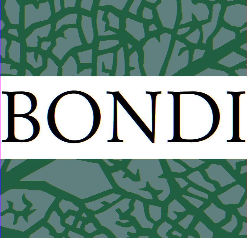 Bondi Executive Search AB logo