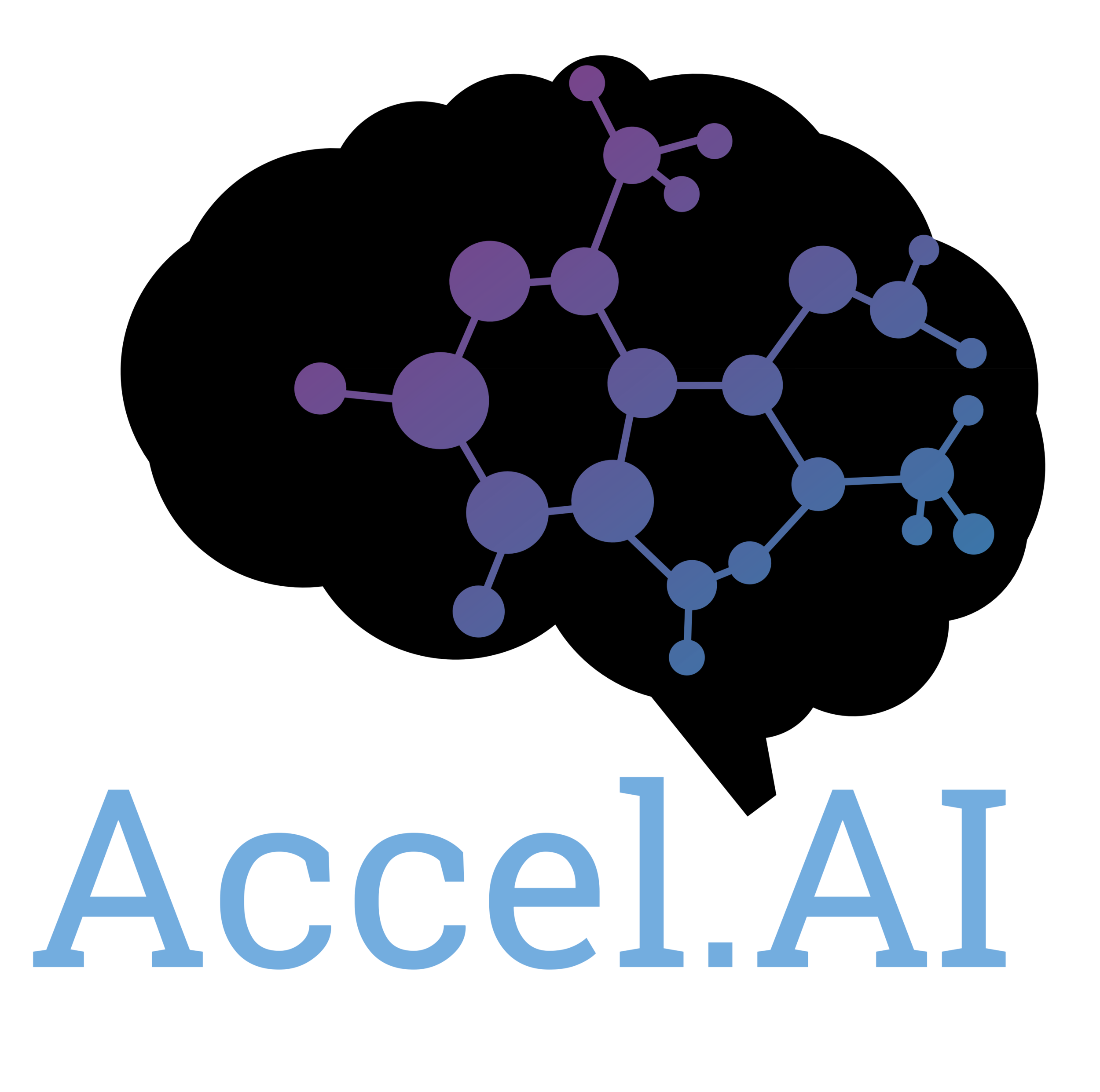 Accel AI Institute / LatinX in AI (LXAI) Org logo