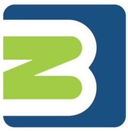 BluZinc logo